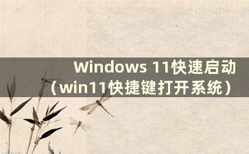 Windows 11快速启动（win11快捷键打开系统）